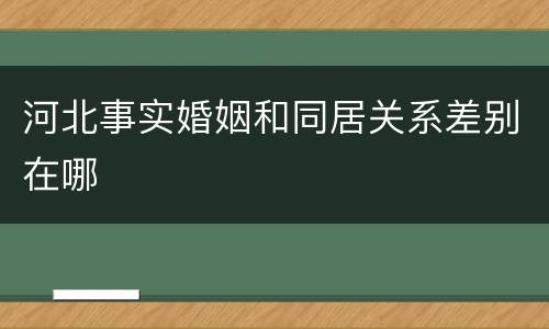 河北事实婚姻和同居关系差别在哪