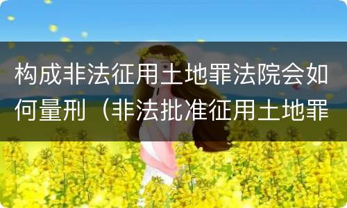 构成非法征用土地罪法院会如何量刑（非法批准征用土地罪）