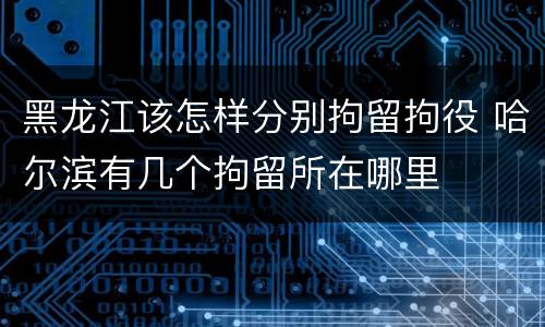 黑龙江该怎样分别拘留拘役 哈尔滨有几个拘留所在哪里