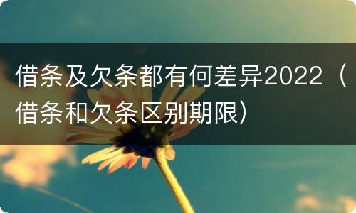 借条及欠条都有何差异2022（借条和欠条区别期限）