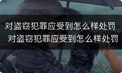 对盗窃犯罪应受到怎么样处罚 对盗窃犯罪应受到怎么样处罚呢
