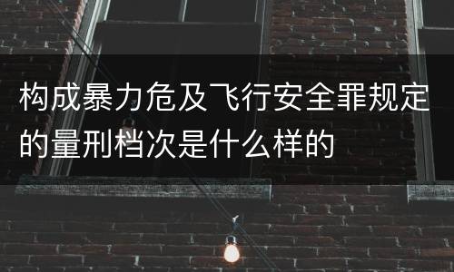 构成暴力危及飞行安全罪规定的量刑档次是什么样的