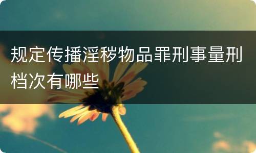 规定传播淫秽物品罪刑事量刑档次有哪些