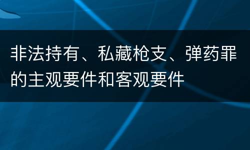 非法持有、私藏枪支、弹药罪的主观要件和客观要件