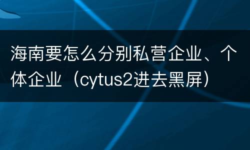 海南要怎么分别私营企业、个体企业(cytus2进去黑屏)
