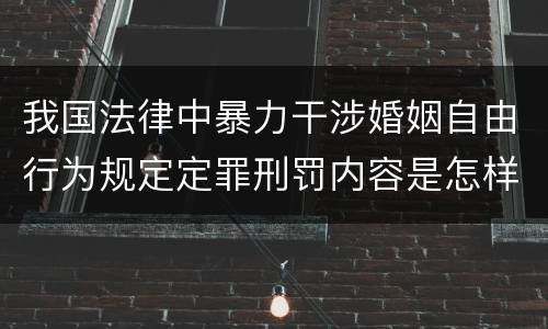 我国法律中暴力干涉婚姻自由行为规定定罪刑罚内容是怎样