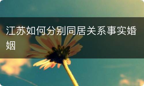 江苏如何分别同居关系事实婚姻