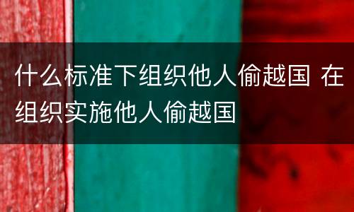 什么标准下组织他人偷越国 在组织实施他人偷越国