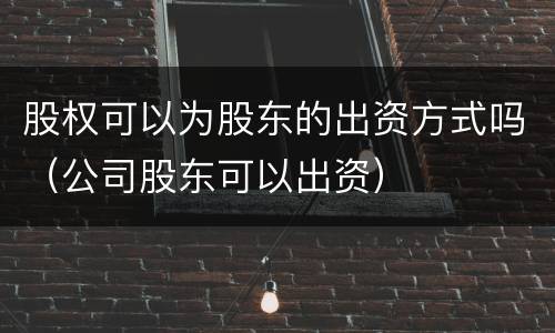股权可以为股东的出资方式吗（公司股东可以出资）