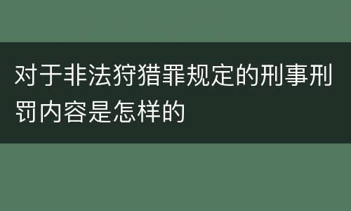 对于非法狩猎罪规定的刑事刑罚内容是怎样的