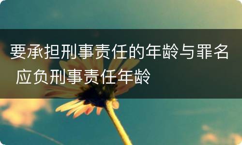 要承担刑事责任的年龄与罪名 应负刑事责任年龄