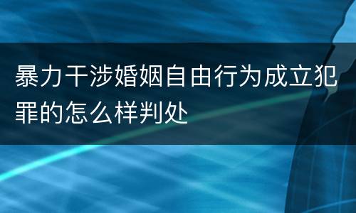 暴力干涉婚姻自由行为成立犯罪的怎么样判处
