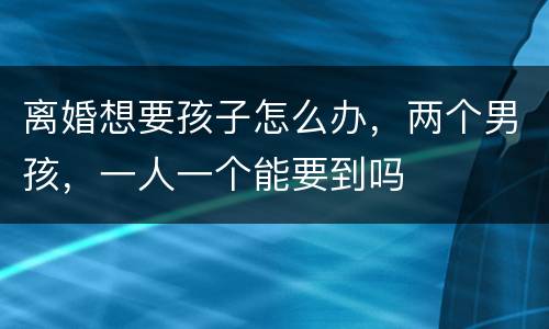 离婚想要孩子怎么办，两个男孩，一人一个能要到吗