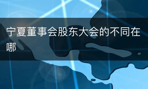 宁夏董事会股东大会的不同在哪