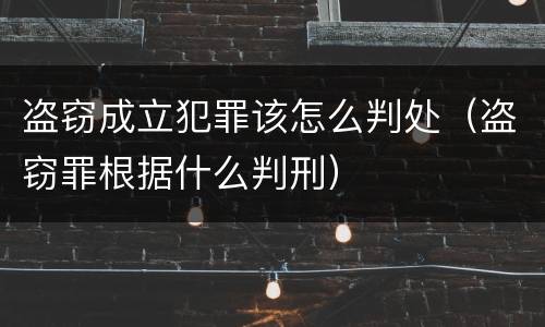 盗窃成立犯罪该怎么判处（盗窃罪根据什么判刑）