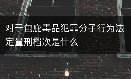 对于包庇毒品犯罪分子行为法定量刑档次是什么