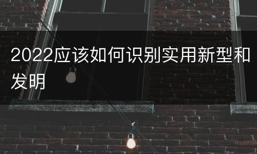 2022应该如何识别实用新型和发明
