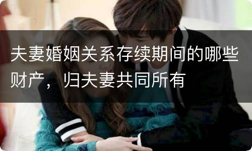 夫妻婚姻关系存续期间的哪些财产，归夫妻共同所有