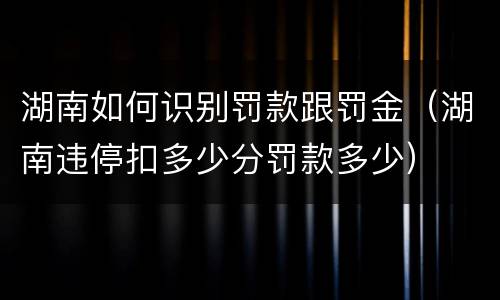 湖南如何识别罚款跟罚金（湖南违停扣多少分罚款多少）