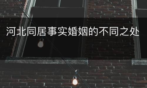 河北同居事实婚姻的不同之处
