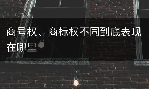 商号权、商标权不同到底表现在哪里