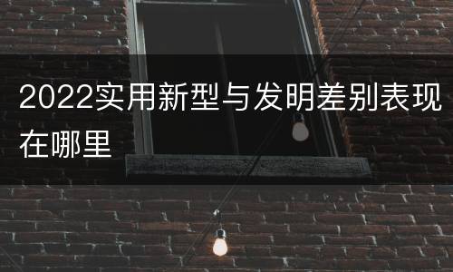 2022实用新型与发明差别表现在哪里