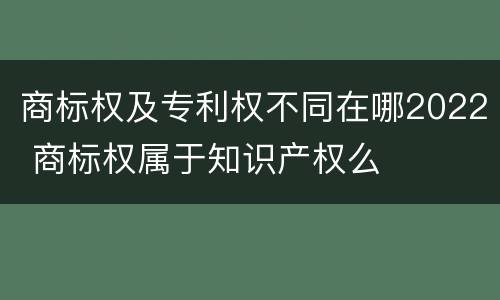 商标权及专利权不同在哪2022 商标权属于知识产权么