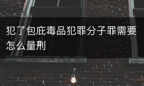 犯了包庇毒品犯罪分子罪需要怎么量刑
