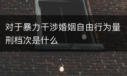 对于暴力干涉婚姻自由行为量刑档次是什么