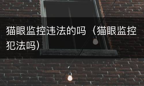 猫眼监控违法的吗（猫眼监控犯法吗）