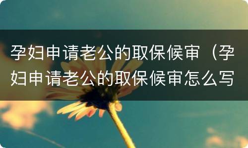 孕妇申请老公的取保候审（孕妇申请老公的取保候审怎么写说明）