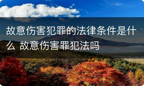 故意伤害犯罪的法律条件是什么 故意伤害罪犯法吗
