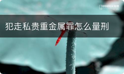 犯走私贵重金属罪怎么量刑