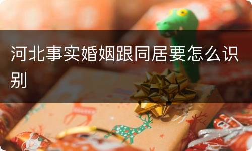 河北事实婚姻跟同居要怎么识别