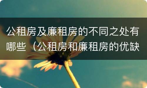 公租房及廉租房的不同之处有哪些（公租房和廉租房的优缺点）