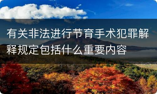 有关非法进行节育手术犯罪解释规定包括什么重要内容