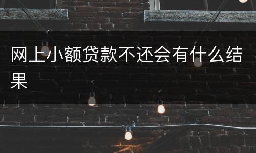 网上小额贷款不还会有什么结果