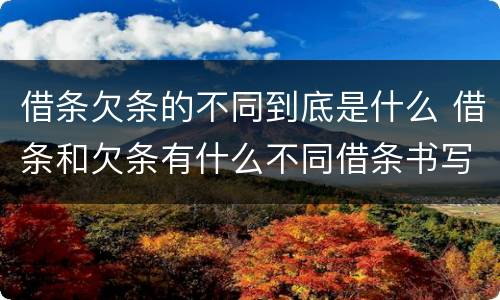 借条欠条的不同到底是什么 借条和欠条有什么不同借条书写