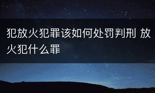 犯放火犯罪该如何处罚判刑 放火犯什么罪