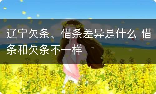 辽宁欠条、借条差异是什么 借条和欠条不一样