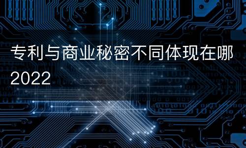专利与商业秘密不同体现在哪2022