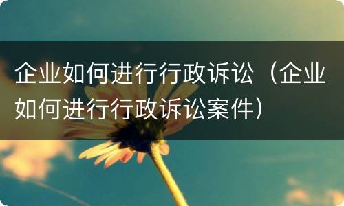 企业如何进行行政诉讼（企业如何进行行政诉讼案件）