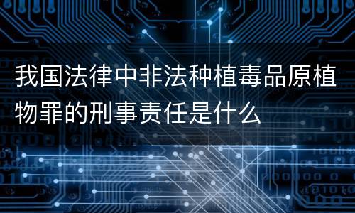 我国法律中非法种植毒品原植物罪的刑事责任是什么