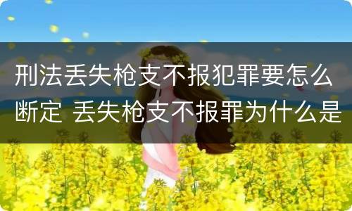 刑法丢失枪支不报犯罪要怎么断定 丢失枪支不报罪为什么是结果犯