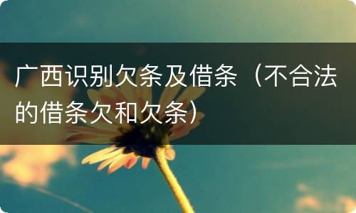广西识别欠条及借条（不合法的借条欠和欠条）