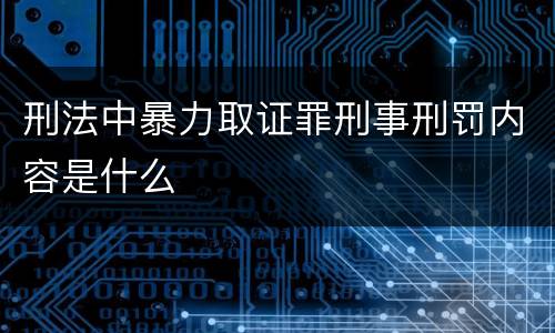 刑法中暴力取证罪刑事刑罚内容是什么