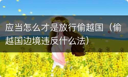 应当怎么才是放行偷越国（偷越国边境违反什么法）