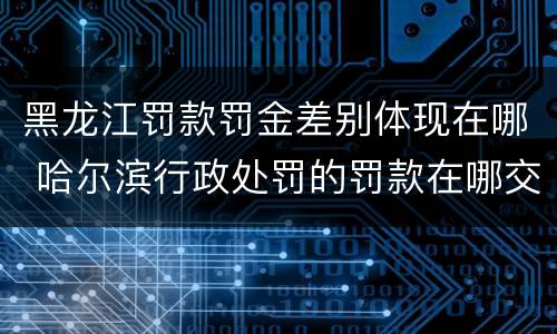 黑龙江罚款罚金差别体现在哪 哈尔滨行政处罚的罚款在哪交