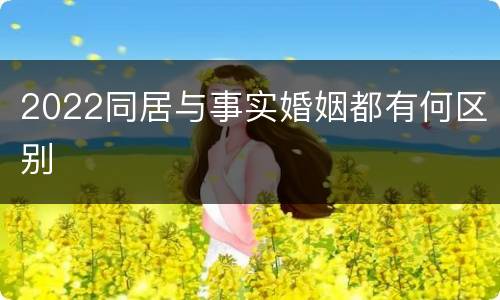 2022同居与事实婚姻都有何区别