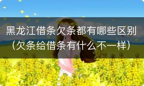 黑龙江借条欠条都有哪些区别（欠条给借条有什么不一样）